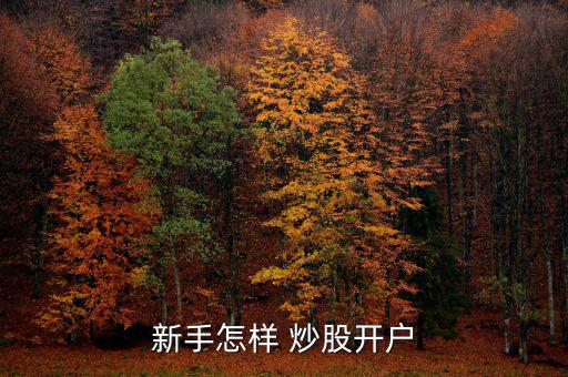 新手怎樣 炒股開(kāi)戶(hù)