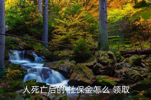 人死后社保怎么領(lǐng)取,如何使用社?？?!