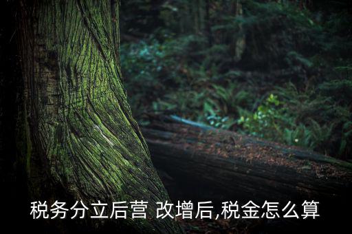稅務(wù)分立后營(yíng) 改增后,稅金怎么算