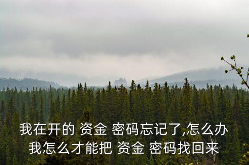 我在開(kāi)的 資金 密碼忘記了,怎么辦我怎么才能把 資金 密碼找回來(lái)