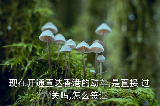 現(xiàn)在開通直達(dá)香港的動車,是直接 過關(guān)嗎,怎么簽證