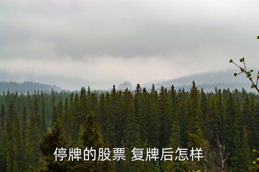 停牌的股票 復牌后怎樣