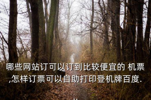 真旅網機票怎么樣,電子機票訂好后可去機場刷身份證就可以登機