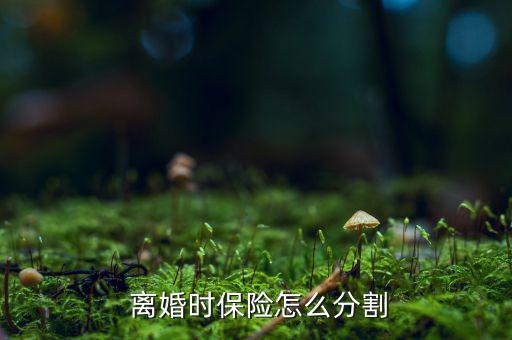 離婚時保險(xiǎn)怎么分,保險(xiǎn)公司將返還被保險(xiǎn)人退?？?/></a></span><span id=
