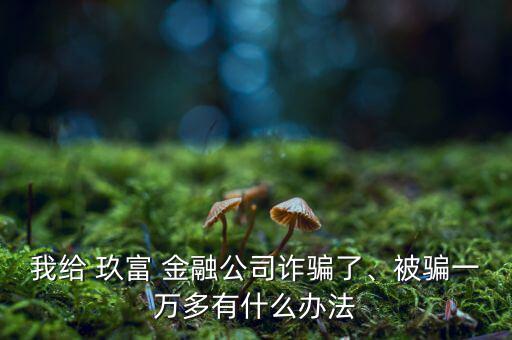 我給 玖富 金融公司詐騙了、被騙一萬(wàn)多有什么辦法