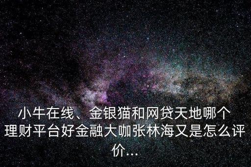  小牛在線、金銀貓和網(wǎng)貸天地哪個(gè) 理財(cái)平臺(tái)好金融大咖張林海又是怎么評(píng)價(jià)...