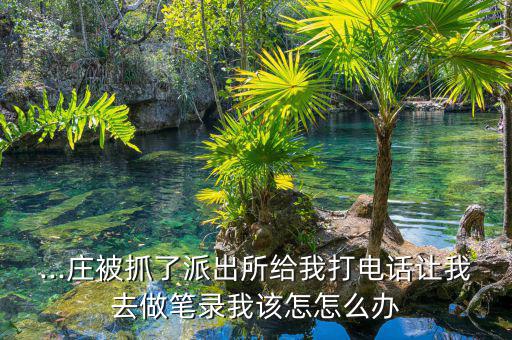 怎么做黑莊,如何成為股市理財(cái)專(zhuān)家?