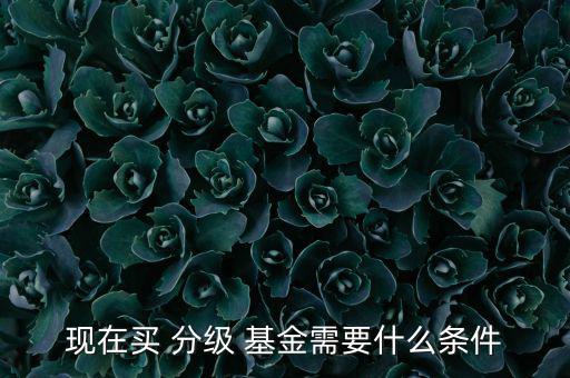 現(xiàn)在買(mǎi) 分級(jí) 基金需要什么條件