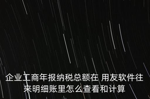 企業(yè)工商年報納稅總額在 用友軟件往來明細(xì)賬里怎么查看和計算