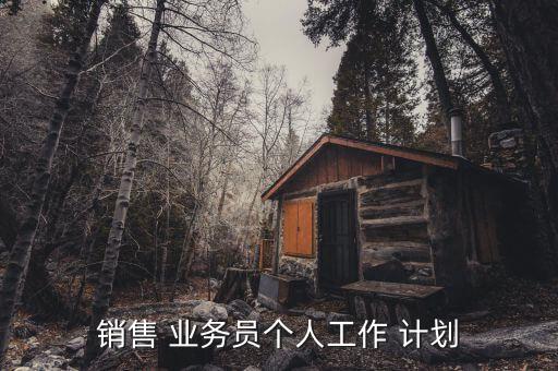銷售 業(yè)務(wù)員個人工作 計劃