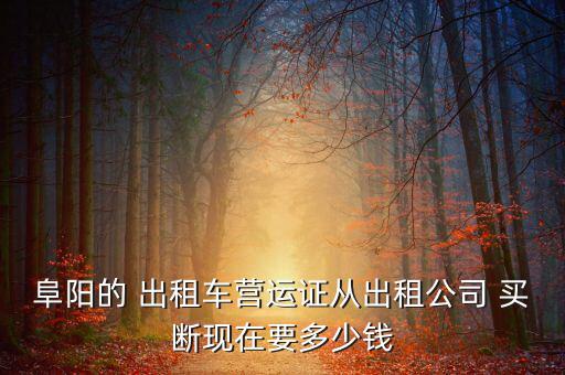 阜陽(yáng)的 出租車(chē)營(yíng)運(yùn)證從出租公司 買(mǎi)斷現(xiàn)在要多少錢(qián)
