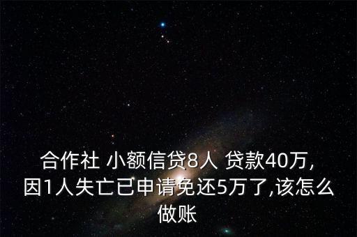 小額貸款公司怎么做帳,出納和會計(jì)不是同個人應(yīng)分開記賬和報稅