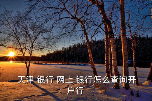  天津 銀行 網(wǎng)上 銀行怎么查詢(xún)開(kāi)戶(hù)行