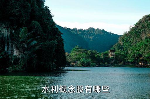 安徽水利股票怎么樣,水利股份、證券股龍頭股名單出爐