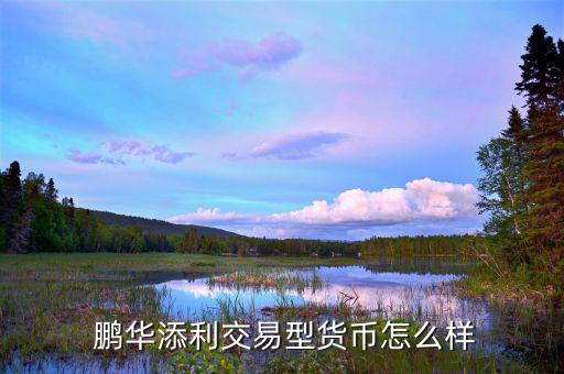 鵬華金剛怎么樣,貨幣基金是一種開放式基金向社會(huì)募集閑置資金