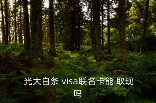  光大白條 visa聯名卡能 取現嗎