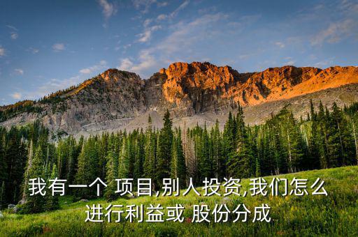 我有一個 項(xiàng)目,別人投資,我們怎么進(jìn)行利益或 股份分成