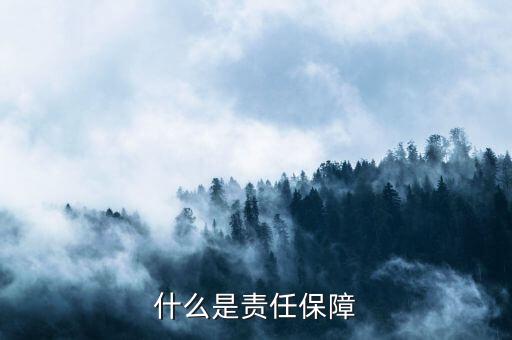 責任保險發(fā)展的保障是什么，什么是責任保障