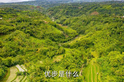 優(yōu)步滬郊短駁是什么，我的車符合UBER高級轎車為什么是人民優(yōu)步的價格