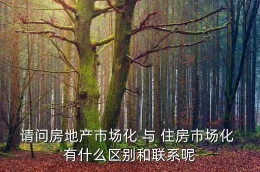 什么是房地產(chǎn)市場化，房地產(chǎn)市場分化甚么意思