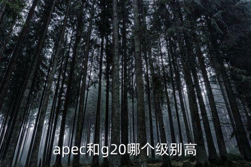國際貿(mào)易額由什么組成，國際貿(mào)易額和對外貿(mào)易額兩者的區(qū)別