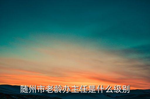 全國老齡辦副主任什么級別，全國老齡委辦公室副主任 什么級別