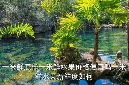 一米鮮為什么做垮了，一米鮮主要是做什么銷售誰能告訴我