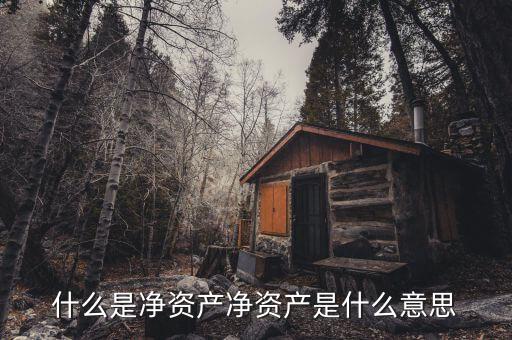 什么是凈資產(chǎn)，什么是凈資產(chǎn)凈資產(chǎn)是什么意思