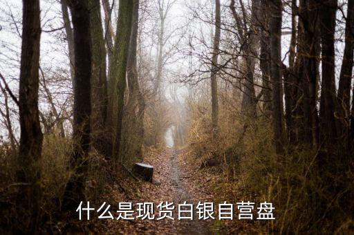 現(xiàn)貨盤是什么，國(guó)際盤現(xiàn)貨是什么意思