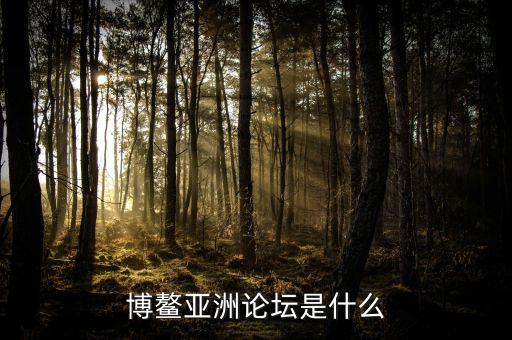 博鰲亞洲論壇是干什么的，博鰲亞洲論壇是什么