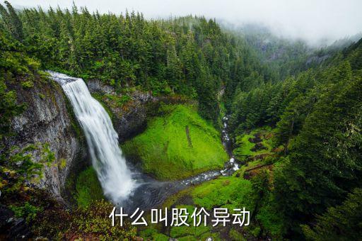 什么叫股票異動(dòng)，異動(dòng)股是什么意思