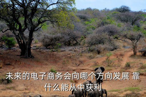 未來(lái)電商什么會(huì)掙錢(qián)，未來(lái)的電子商務(wù)會(huì)向哪個(gè)方向發(fā)展 靠什么能從中獲利