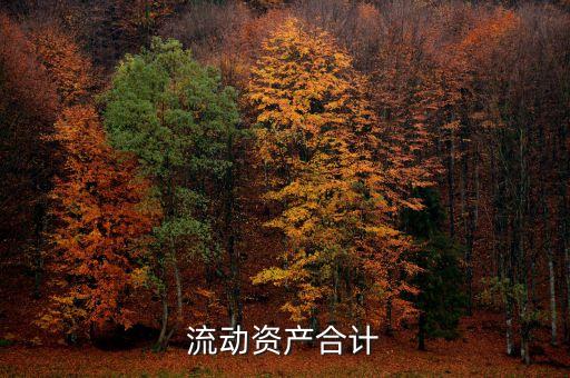 流動資產合計