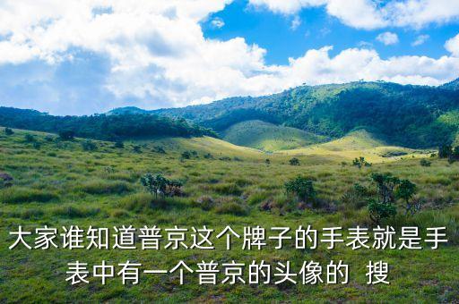 普京皮帶是什么牌子，大家誰知道普京這個牌子的手表就是手表中有一個普京的頭像的  搜