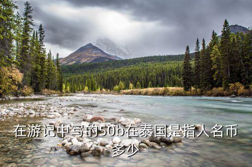 國金50b是什么，國金證券券商代碼是什么