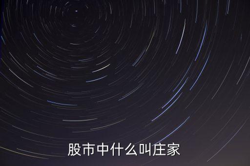 什么莊家股票，股票的莊家是指