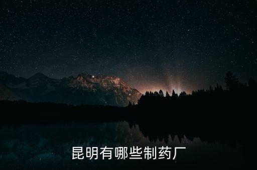 昆藥全資子公司都有什么，昆明有哪些制藥廠