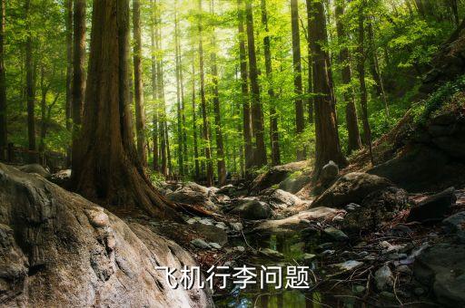 航空公司可以拒載什么傷人，憑什么飛機(jī)可以拒載