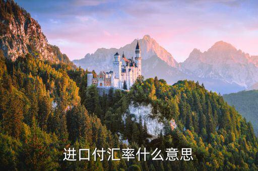 進口付匯是什么意思，進口付匯是什么