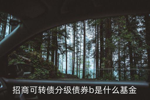 轉(zhuǎn)債b級(jí)是什么，招商可轉(zhuǎn)債分級(jí)債券b 場(chǎng)內(nèi)買入 場(chǎng)外賣出什么意思