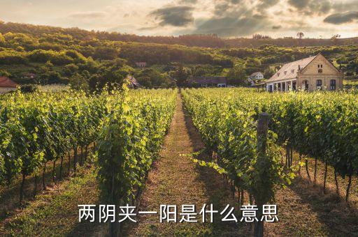 股票兩陰一陽又兩陰什么走勢，股市技術(shù)圖形兩陰一陽又兩陰后市怎樣