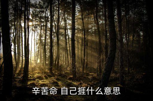 苦捱是什么意思，請問苦啷是什么意思