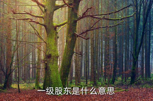 二級股東是什么意思，兩級股權結構
