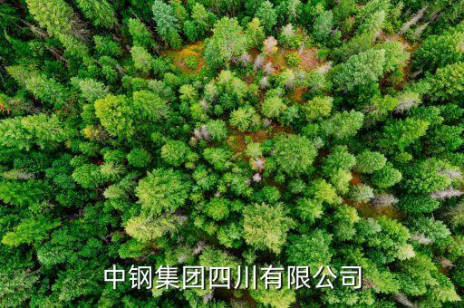 中鋼什么級(jí)別，中尉是什么等級(jí)