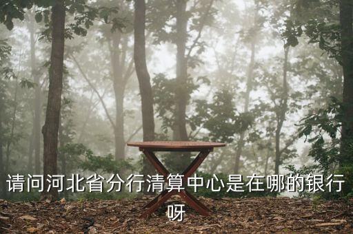 河北省分行清算中心是什么，請(qǐng)問(wèn)河北省分行清算中心是在哪的銀行呀