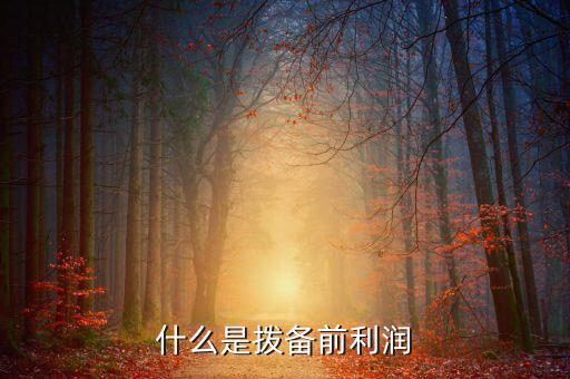 撥備前利潤是什么意思，什么是撥備前利潤