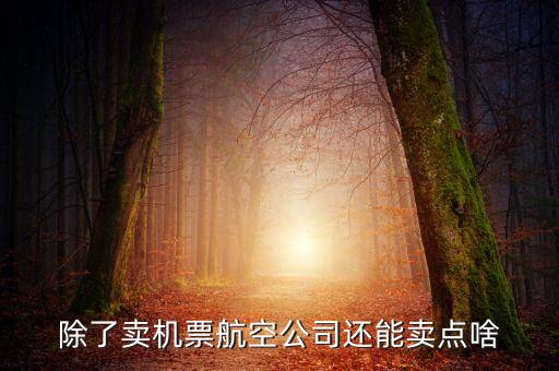 什么叫空地聯(lián)運(yùn)，昆明火車站候機(jī)
