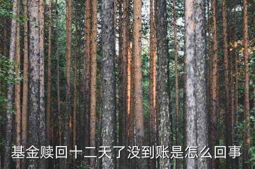 贖回成13天了為什么錢沒到賬，基金贖回成功了 為什么還沒到帳