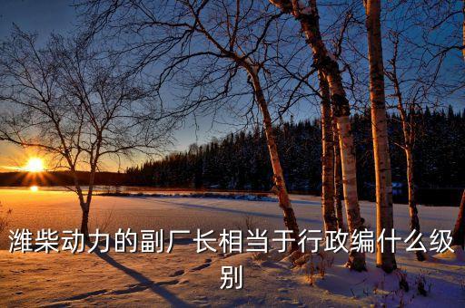 濰柴譚旭光什么級別，濰柴動力股份有限公司董事長是誰