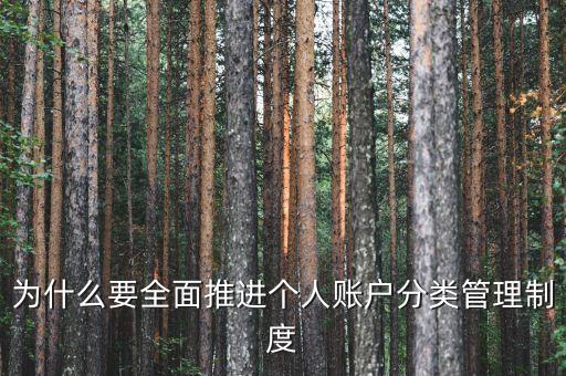 為什么進行賬戶分類，為什么要全面推進個人賬戶分類管理制度